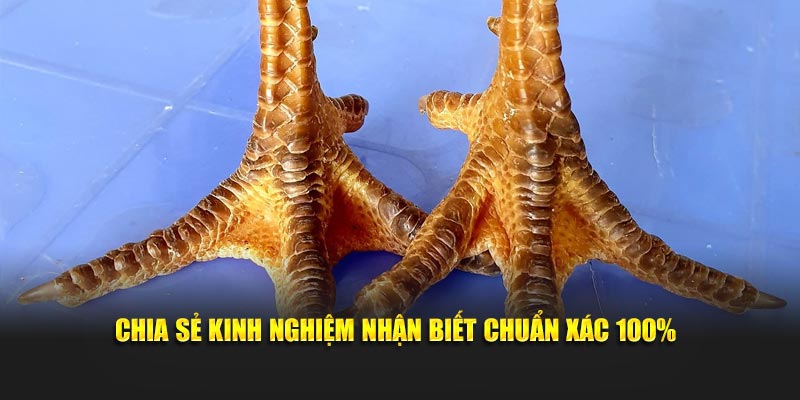 Chia sẻ kinh nghiệm nhận biết chuẩn xác 100%