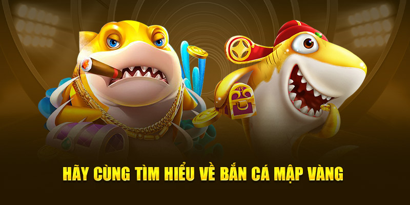 Hãy cùng tìm hiểu về bắn cá mập vàng